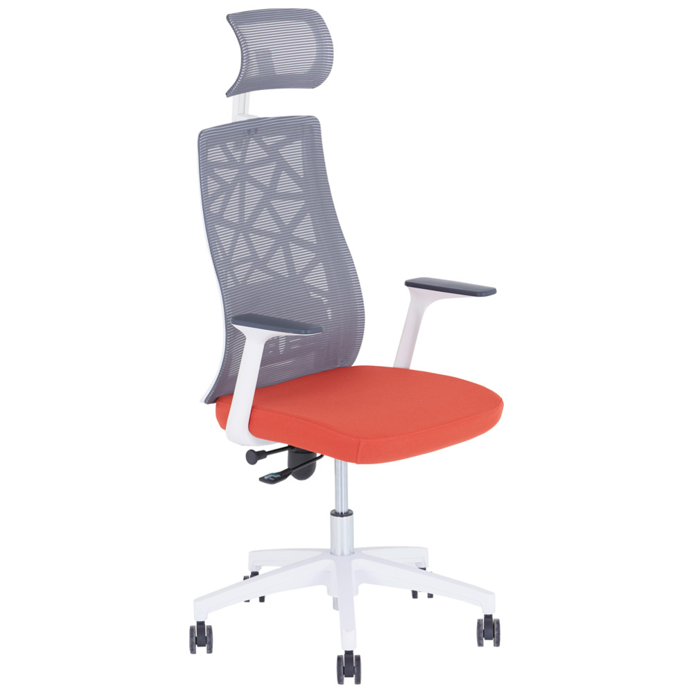 Odvádí perfektní práci v domácí kanceláři: Vedoucí židle DEMO 2 zajišťuje správnou úroveň pohodlí u stolu díky příjemnému polstrování a funkčním výhodám. Posaďte se a připravte se na domácký design a příjemný zážitek ze sezení. Moderní kancelářská židle má nastavitelné područky a celkové rozměry cca 64 x 120-140 x 60 cm (Š x V x H). U modelu s výškově nastavitelným plynovým